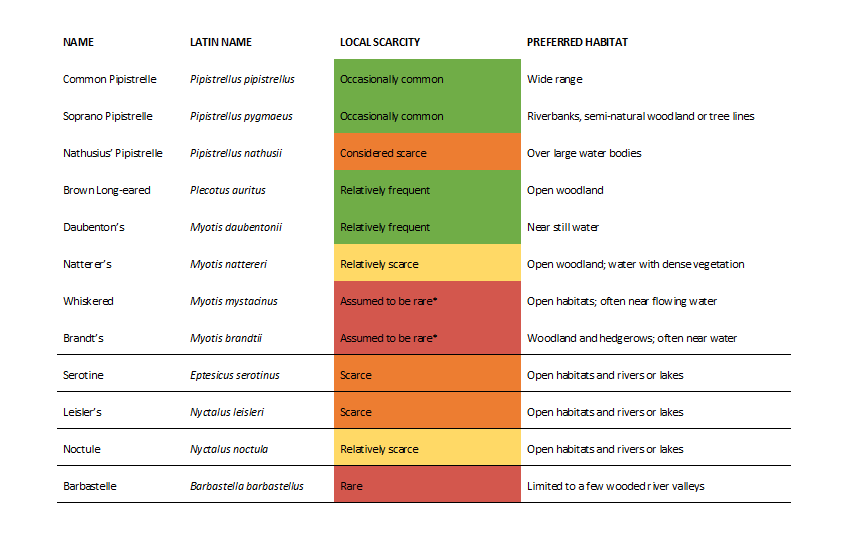 Table: a list of the bat species found in North Hertfordshire. * = not enough data on species to give specific comment on local scarcity.