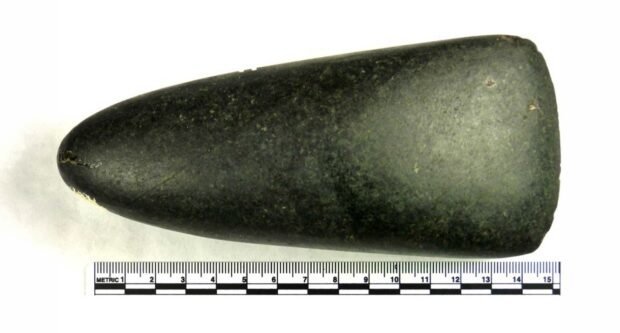 Polished Greenstone Axehead