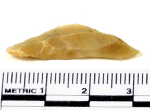 microlith