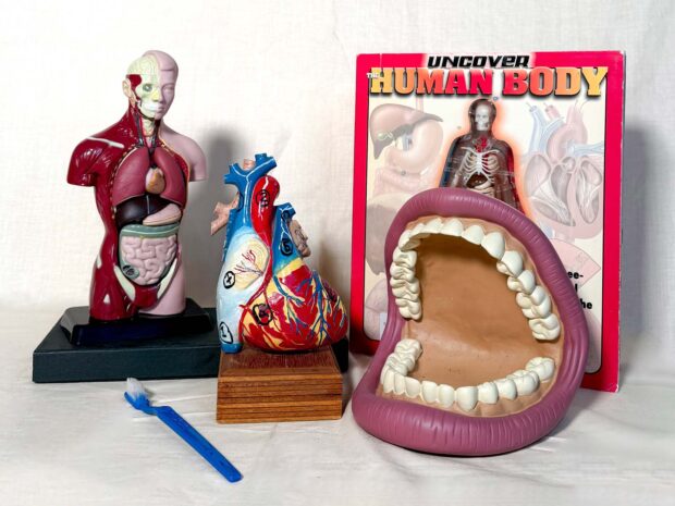 Loan Boxes - Anatomy