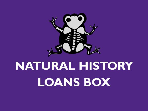 Natural History