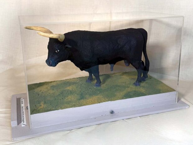 Model Of An Aurochs