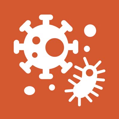 North Herts Museum School Sessions - Disease and Drains