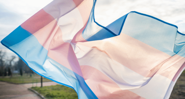 LGBTQIA+ history, gender expression, gender history