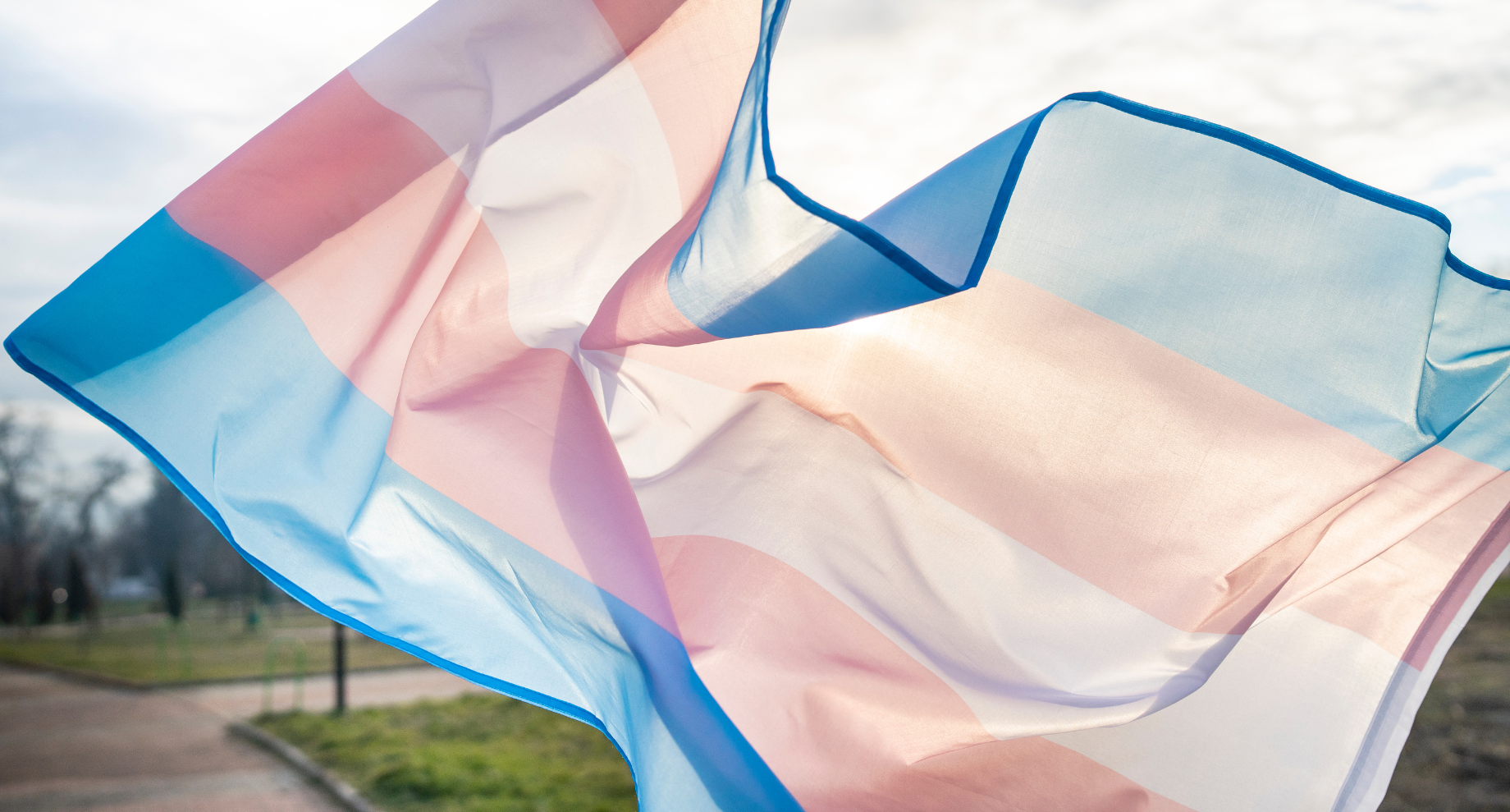 LGBTQIA+ history, gender expression, gender history