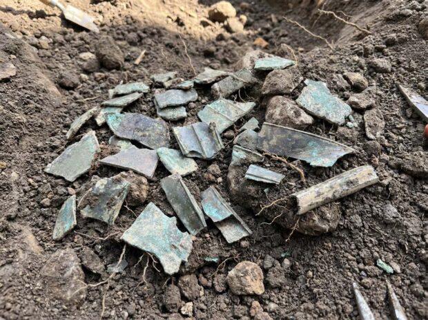 Copper Alloy