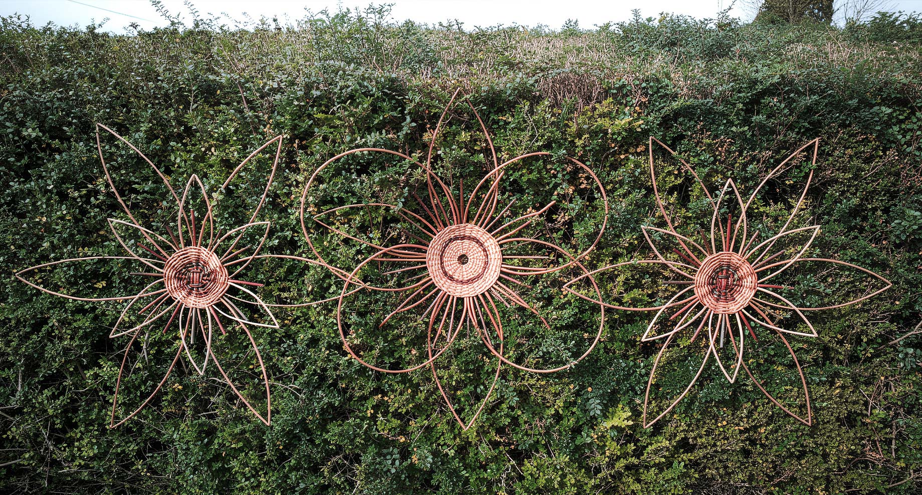 Willow Wall Flowers