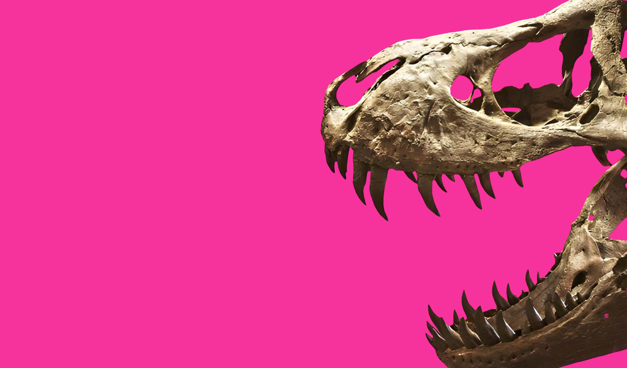 Dinosaurium Reimagined Creatures 2026