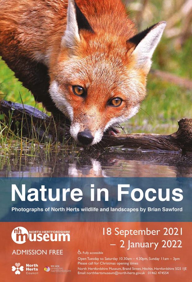 Nature In Focus