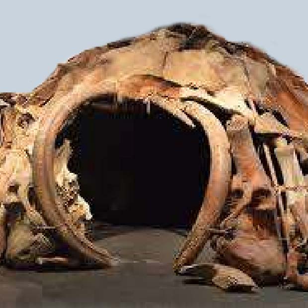 Stone Age Shelter