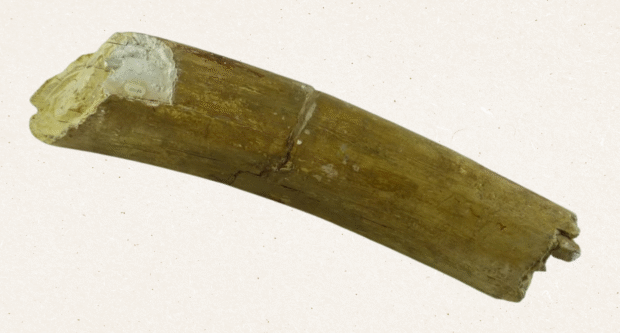 Ice Age, local history in North Herts, Archaeology