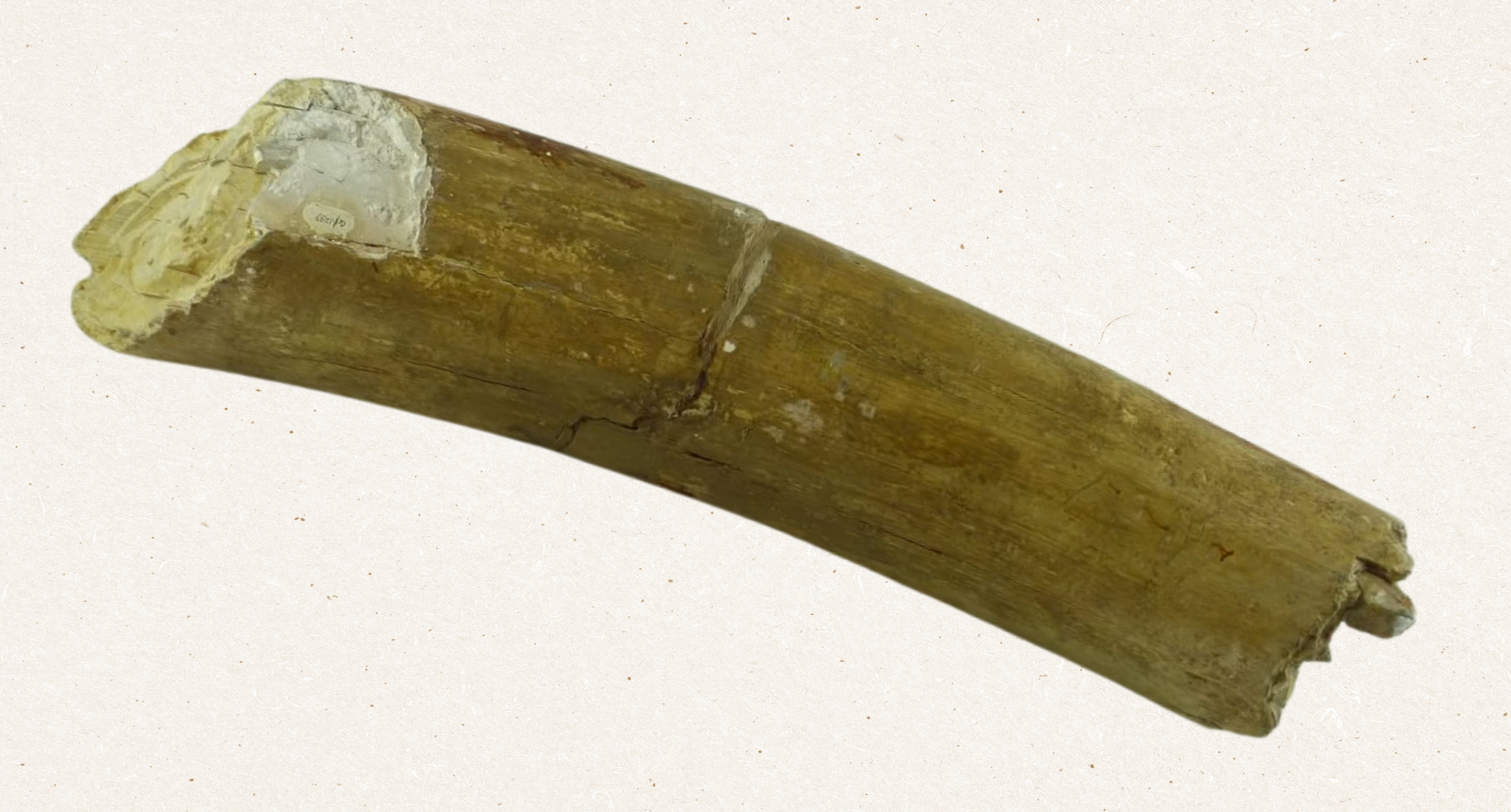 Ice Age, local history in North Herts, Archaeology