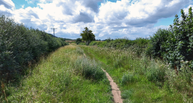 Icknield Way, Archaeology, Neolithic Age, Bronze Age