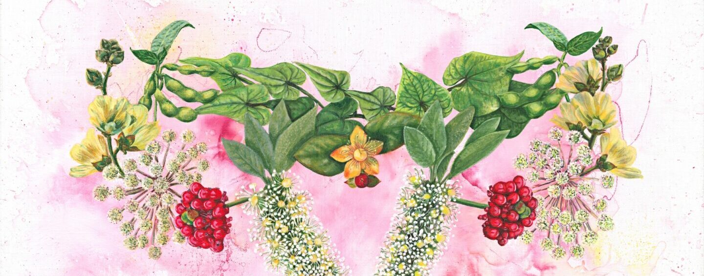 Hidden Healing – Arches Exhibition